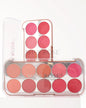 MISS ROSE 10 color blusher palatte